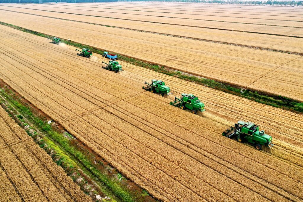 fields, tractors, machinery, harvest, wheat, agriculture, agricultural machinery, agricultural machinery, agricultural machinery, agricultural machinery, agricultural machinery, agricultural machinery